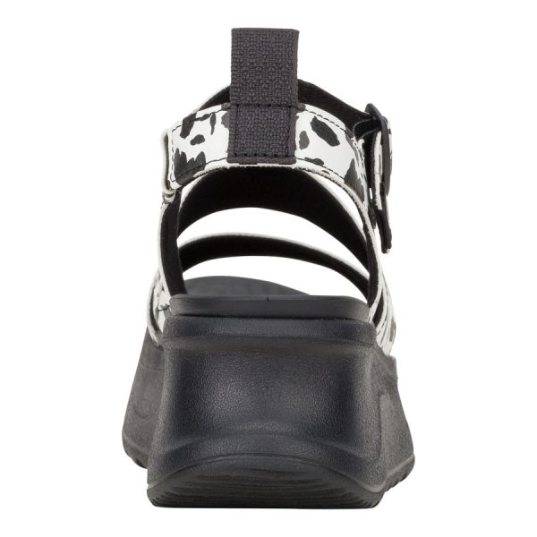 Delray Buckle Animal - Black/White